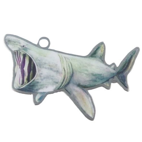 Basking Shark Trackable Tag