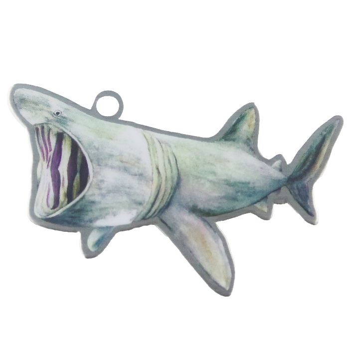 Basking Shark Trackable Tag