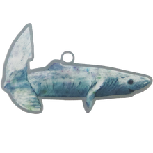 Pacific Sleeper Shark Trackable Tag