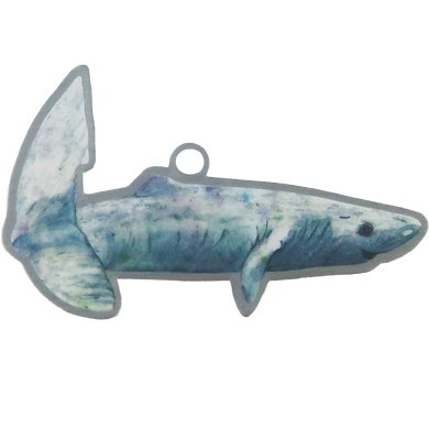 Pacific Sleeper Shark Trackable Tag