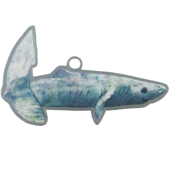 Pacific Sleeper Shark Trackable Tag