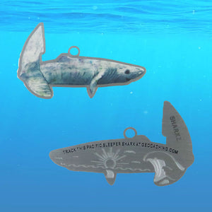 Pacific Sleeper Shark Trackable Tag