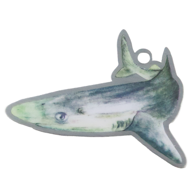 Spiny Dogfish Shark Trackable Tag