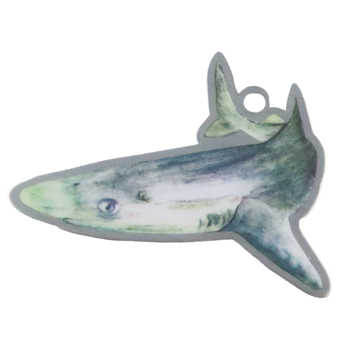 Spiny Dogfish Shark Trackable Tag