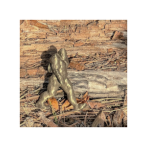 Bigfoot Cache Container: 3 inch (Small)